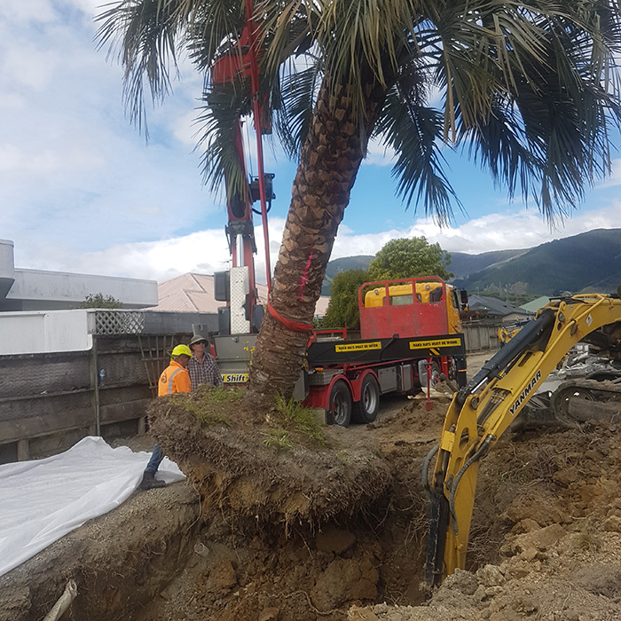 Landscaping services from design